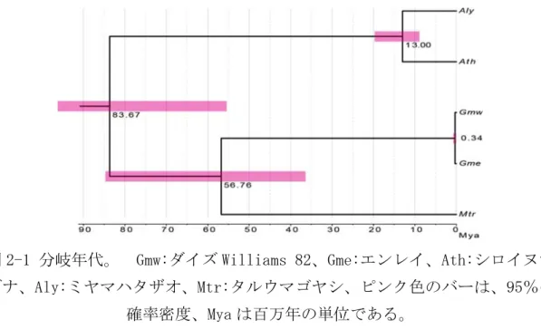 図 2-1 分岐年代。  Gmw:ダイズ Williams 82、Gme:エンレイ、Ath:シロイヌナ ズナ、Aly:ミヤマハタザオ、Mtr:タルウマゴヤシ、ピンク色のバーは、95％の 確率密度、Mya は百万年の単位である。  また、ダイズ属とタルウマゴヤシの分岐年代は 56.76Mya（95PD：84.54 から 36.99Mya）と推定され、ダイズ/タルウマゴヤシ属とシロイヌナズナ属の分岐年 度は、83.67Mya（95PD：122.51 から 55.57Mya）であった。以前の研究では、ダ イズ属と