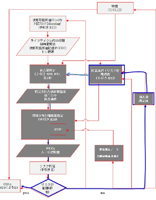図 1  環境曝露評価に関する作業フロー