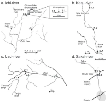 Fig. 1   Map of the rivers and the location of sampling site.