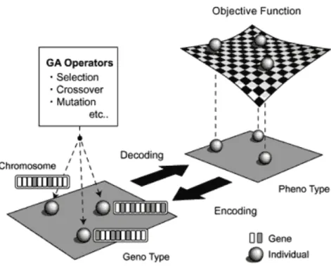 Figure 2.1: GA の概念図