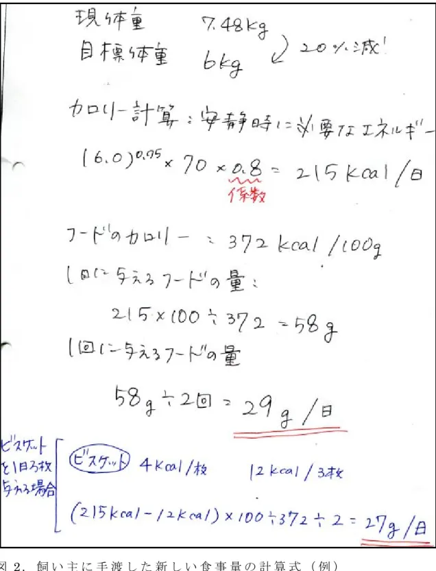 図 2 ． 飼 い 主 に 手 渡 し た 新 し い 食 事 量 の 計 算 式 （ 例 ）