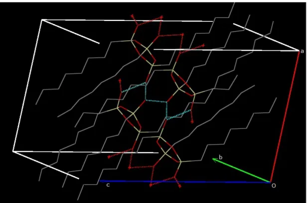 Figure 2.7 (a) .      Hydrogen-bonding scheme of cis-trans-1 