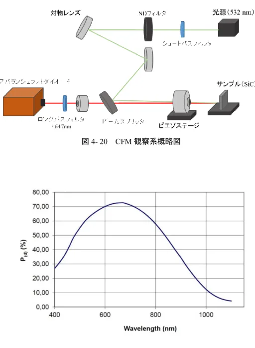 図 4- 20  CFM 観察系概略図 