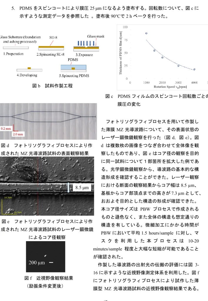 図 f   近視野像観察結果 