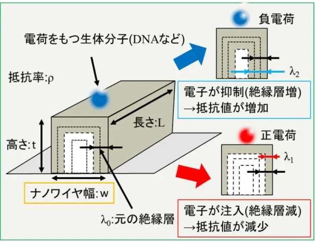 図 1.2  ナノワイヤ表面への荷電粒子付着による絶縁層膜厚の制御効果 