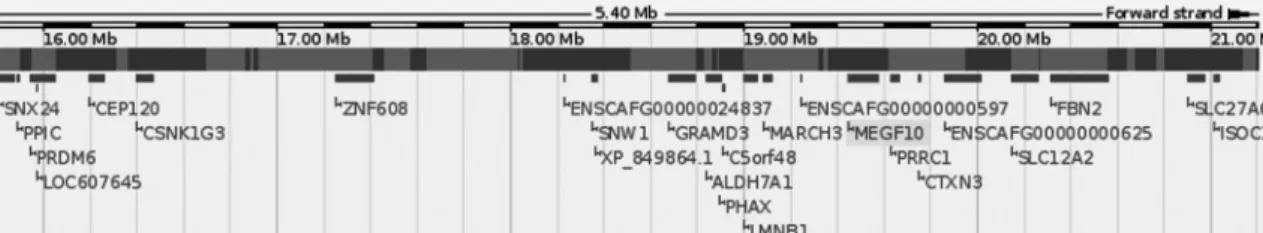 Table 1 cSNP of canine MEGF10 gene (SNP data base from  NCBI)
