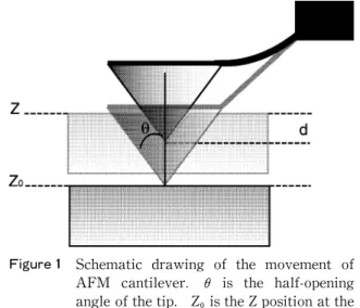 Figure 1 Schematic drawing  of the movement of AFM  cantilever. θ is  the  half-opening  angle of the tip