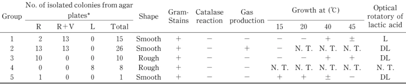 Table 2 Summary of morphologycal and biochemical properties of isolated colonies from  mice.