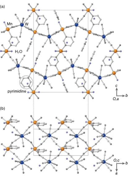 図 1.8 3 次元ネットワーク状錯体  Mn II 3 [W V (CN) 8 ] 2 (pyrimidine) 4 . 6H 2 O. (a) a 軸から見た図,  および, (b) c 軸から見た図