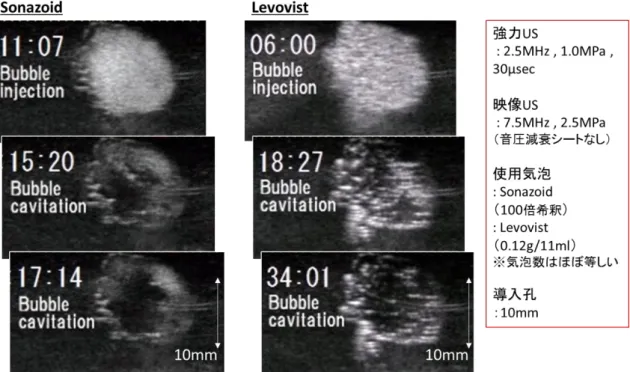 Fig. 6-3(b)  は上記の実験系を用いた際の実験結果である。 