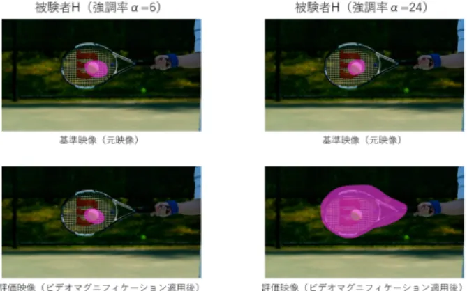 図 4: コンテンツ Tennis に対する注視領域（紫領域）の変化（被験 者 H ） ． 図 5: コンテンツ Tennis に対する注視領域（紫領域）の変化（被験 者 K ）． 強調率が大きくなるにしたがって，映像変化知覚が大き くなっていく傾向が見られ，線形回帰で分析を行った結果， 映像変化知覚は強調率に比例する形で線形に有意に増加す ることが確認された (p < 0.05) ．その一方で，強調率が大 きくなるにしたがって，強調された映像に対する自然さは 損なわれ，線形回帰で分析を行ってみると，
