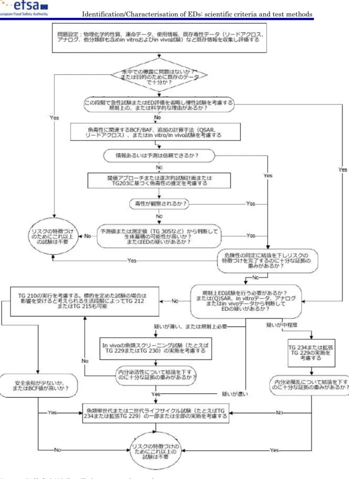 図 1：一般的魚類試験の戦略。OECD (2012g) Fish Toxicity Testing Framework. Series on  Testing and Assessment no