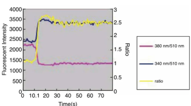 図 P-22-5 　 CHO 細胞へ ATP(1  µ mol/l) による刺激を与えた 　　　　　    場合のカルシウムイオン濃度変化4000350030002500200015001000  500      0Fluorescent Intensity0   10.1  20   30   40   50   60   70 32.521.510.50Time(s)Ratio 380 nm/510 nm340 nm/510 nmratio