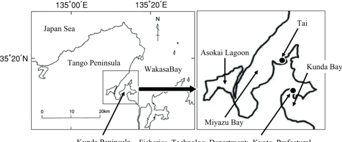 Fig. 1 Location of the study site. Black circles indicate the Japanese sea cucumber sampling sites.