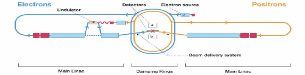 図 1.1:ILC 加速器の構想図  1.2  ILC 実験の物理    標準模型は電磁気力･弱い力･強い力を統一的に記述する理論であり、電磁気力と弱い 力を記述するワインバーグ･サラム理論と強い力を記述する量子色力学 (QCD)を合わせ たものである。様々な実験における精密な検証により標準模型そのものの正しさは揺る がないものとなっている。しかし標準模型に登場する粒子の中で唯一ヒッグス粒子はそ の存在が確認されていない。また標準模型の枠内では説明しきれない事実も多く、明ら かに標準模型は最終的な理論ではな