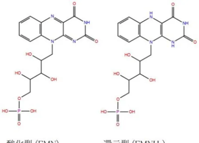 図  2.  フラビンモノヌクレオチドの構造式 