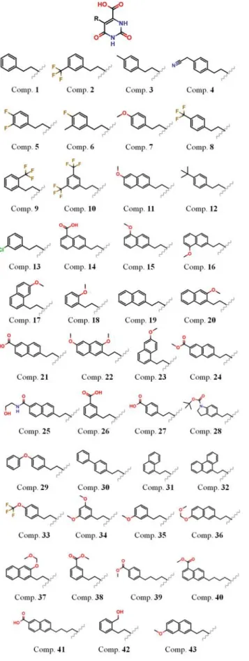 表  1. DHODH  と母核間の相互作用エネルギー(kcal/mol)  PDBID Compound Lys43 Asn67 Asn194 FMN
