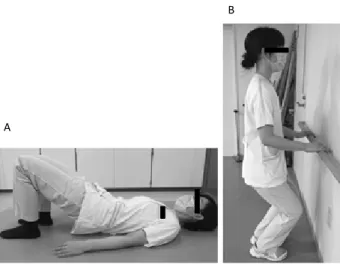図 2 　 Core stability training