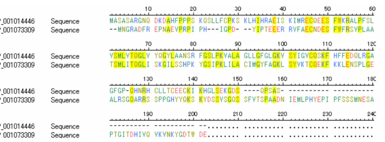 図 2 2 2 2    OCIAD1 OCIAD1 OCIAD1、 OCIAD1 、OCIAD2 、 、 OCIAD2 OCIAD2 OCIAD2 の の の の遺伝子配列 遺伝子配列 遺伝子配列 遺伝子配列 