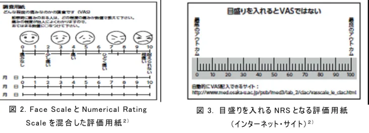 図 3.  目 盛 りを入 れる NRS となる評 価 用 紙  