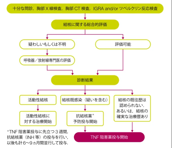 図 4 ．生物学的製剤投与時の結核予防対策 日本呼吸器学会（編）．生物学的製剤と呼吸器疾患・診療の手引き． 2014 ．十分な問診，胸部X線検査，胸部CT検査，IGRA and/orツベルクリン反応検査結核に関する総合的評価診断結果結核既感染（疑いを含む）疑わしいもしくは不明活動性結核活動性結核に対する治療開始抗結核薬＊予防投与開始＊TNF阻害薬投与に先立つ3週間，抗結核薬（INH等）の投与を行い，以後も計6～9ヵ月間並行して投与．評価可能呼吸器／放射線専門医の評価TNF阻害薬投与開始結核の既往歴は認められ