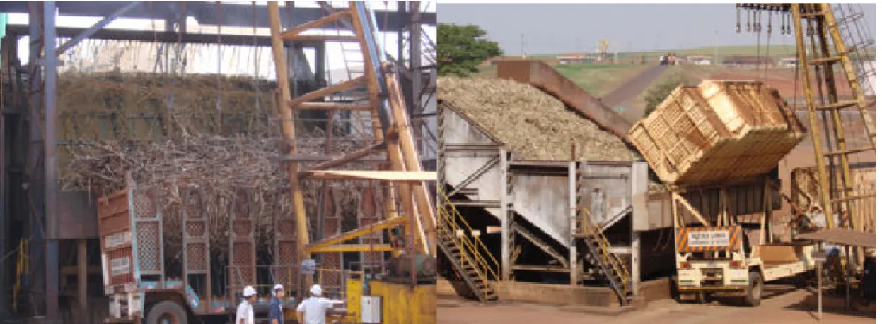 Fig.  2  Left:  whole  canes  being  fed  by  hillo-type  crane.  Right:  chopped  cane  being  unloaded