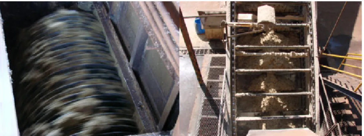 Fig.  4  Left: sugar  cane  being squeezed in the mill. Right: sugar cane bagasse ready to  feed the boilers