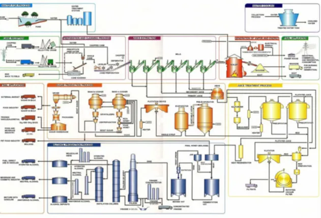 Fig. 7 Flow chart of sugar, alcohol, and energy production. 