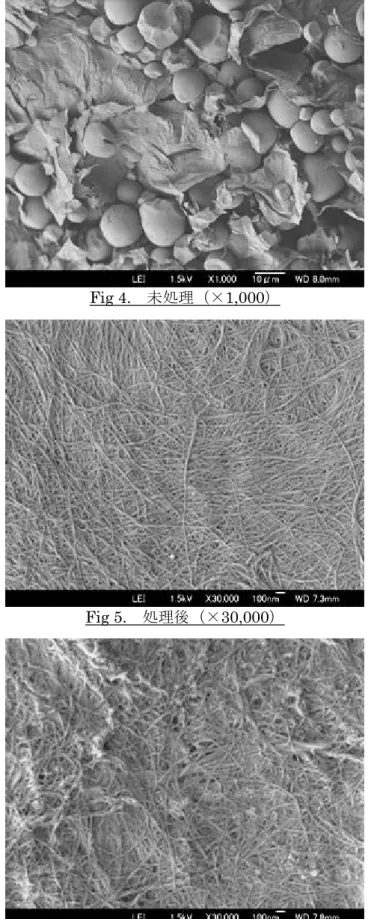 Fig 4.  未処理（×1,000） 