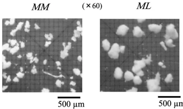 Fig. 1. Microscopic Photographs of Commercial Magnesium Oxide Tabletsイズ及び粒子の分散性の影響について検討し，酸化マグネシウム錠からの主薬の溶出速度が低い原因について要因解析を行ったので報告する．方法1.試料酸化マグネシウム 330 mg を含有するマグミット錠（協和化学工業株式会社，Lot No.02H301，これ以降 MM 錠と略す），マグラックス錠（吉田製薬株式会社，Lot No