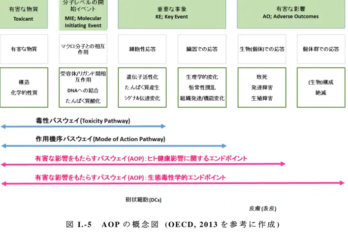 図 I.-5  AOP の 概 念 図  (OECD, 2013 を 参 考 に 作 成 )  