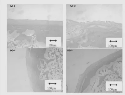 Figure 6 shows the results of the histological photographs  of tibial articular cartilage