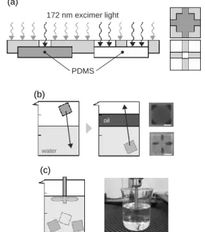 Fig.  3  (a)  Hydrophilic  patterning  method  of  hydrophobic  PDMS surfaces. 172 nm excimer light was exposed through the  stencil mask