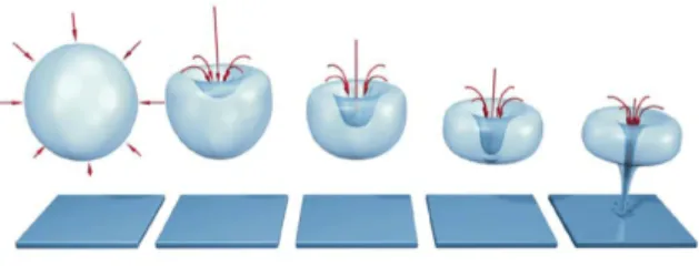Fig. 1 Shape of bubble collapse by solid wall ( 1)