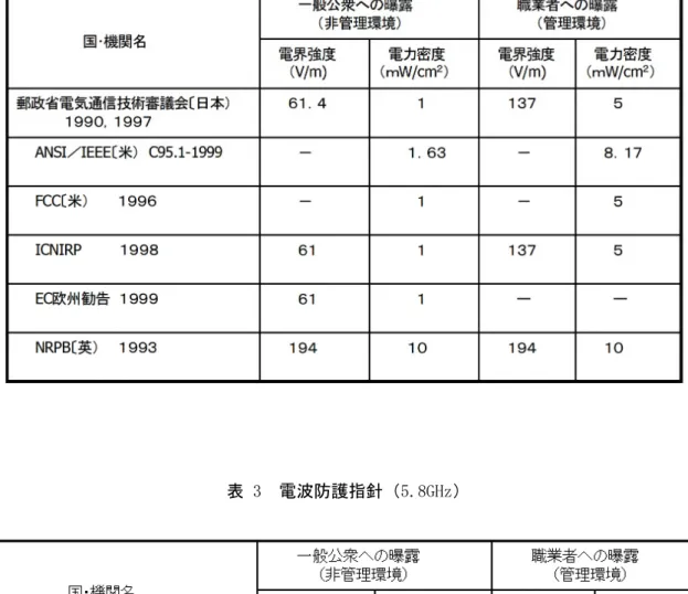 表 2 電波防護指針（2.45GHz）の例