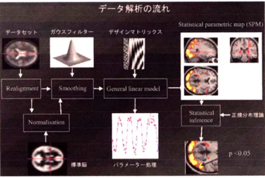 図 ２ － １ ８   SPM 処理結果の３D 表示 
