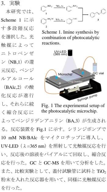 Fig. 1  The experimental setup of  the photocatalytic microchip.