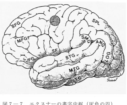 図 ７ ― ７   エ ク ス ナ ー の 書 字 中 枢 （ 灰 色 の 円 ）   19 世紀末、純粋失書の責任病巣としてエクスナーは左中前頭回をあげた。以来この部位 は 「 エ ク ス ナ ー 中 枢 」 と し て 知 ら れ て き た （ 図 ７ － ７ ） 。 そ の 後 、 ペ ン フ ィ ー ル ド と ロバ ー ツ は 左 中 お よ び 下 前 回 の 切 除 例 で 一 過 性 の 失 書 を 認 め た 。 エ カ ン と コ ン ソ リ は ５ 例 の左 中 前 頭 回 限 局 