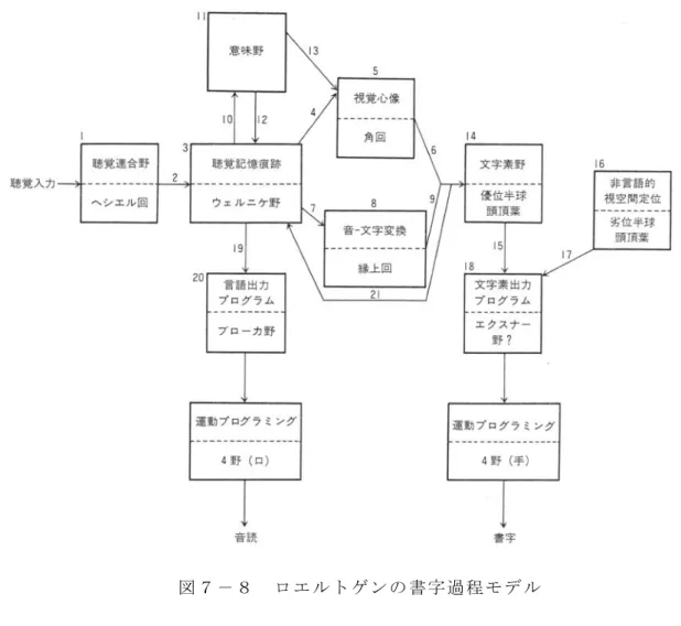 図 ７ － ８   ロ エ ル ト ゲ ン の 書 字 過 程 モ デ ル   傷 に よ る 純 粋 失 書 が 報 告 さ れ て い る 。 こ の よ う な 多 数の 領 ラ ミ ン グ に 関 係 す る 。 従 っ て 、 こ れ ら の 領 野 の 損 傷 は 共 に 純 粋 失 書 を 引 き 起 こ す こ とに一 方 、 頭 頂 葉 病 変 に よ る 純 粋 失 書 も カ プ ア と ゴ ー ド ン を は じ め10 例以上の報告例があ る 。 そ の 他 、 ① 視 床 、 ②