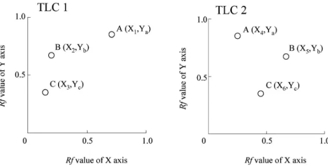Fig. 1. Schematic Chromatogram for Determination of Drugs Using 2-Dimensinal TLC