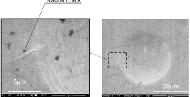 Fig.  4  Circumferential  stress      distribution  on  the  film  surface at each indentation force