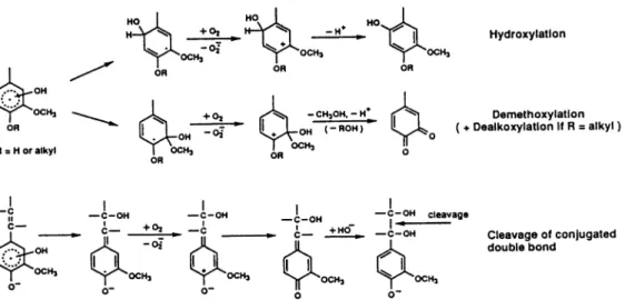 図  11 Reactions  of  aromatic  and  side  chain  structures  with  hydroxyl   radicals
