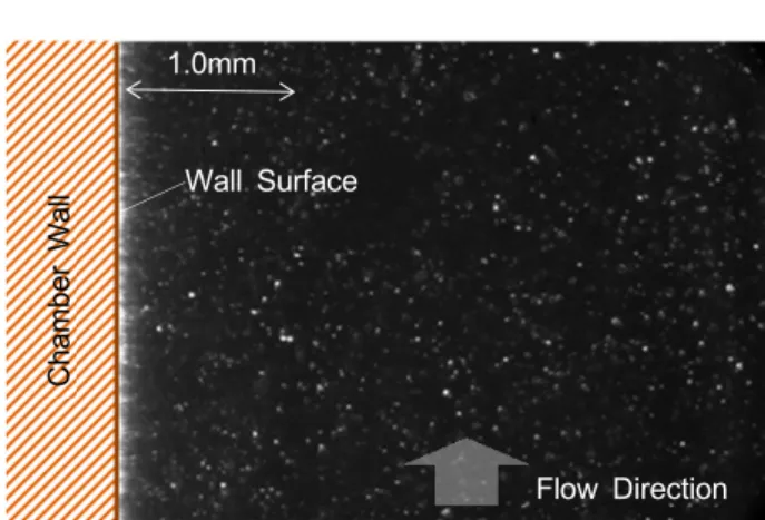Fig. 5  Typical Scattering Light Image from Silica Particles 