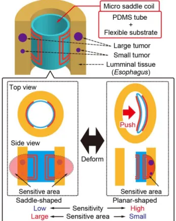 Fig. 2 Concept of the micro saddle coil with switchable sensitivity. 