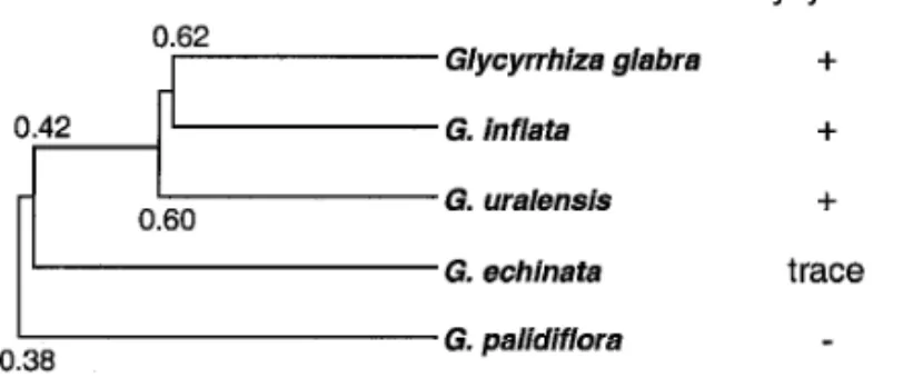 Fig. 2. Phylogenetic Tree Based on RAPD in Glycyrrhiza Plants ついても RAPD 分析による分子遺伝学的系統解析 を行った． 7,8) このような植物分子遺伝学的系統解析 の方法は今後，識別，鑑定，系統分類の決定的な方 法として薬用資源植物に応用されると考えられる． 3