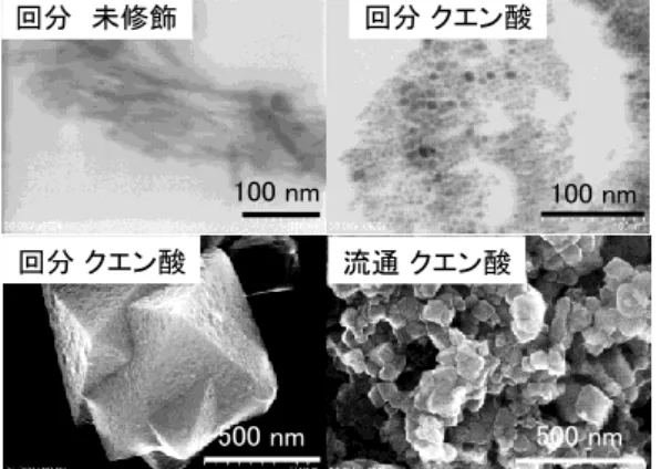 Fig. 3.  生成物の SEM 及び TEM 画像 回分 未修飾100 nm回分 クエン酸500 nm 回分 クエン酸 100 nm流通 クエン酸500 nm Fig