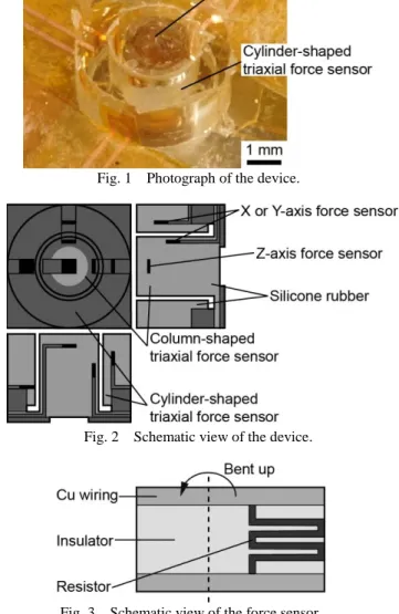 Fig. 2    Schematic view of the device. 