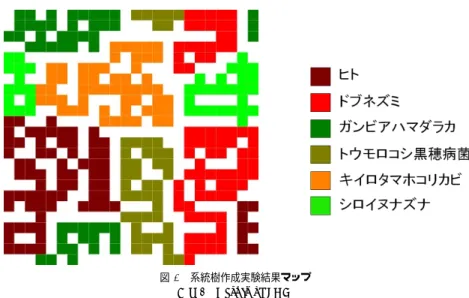 図 7 重み空間上の距離による系統樹 Fig. 7 Evolutionary tree by distance of weight