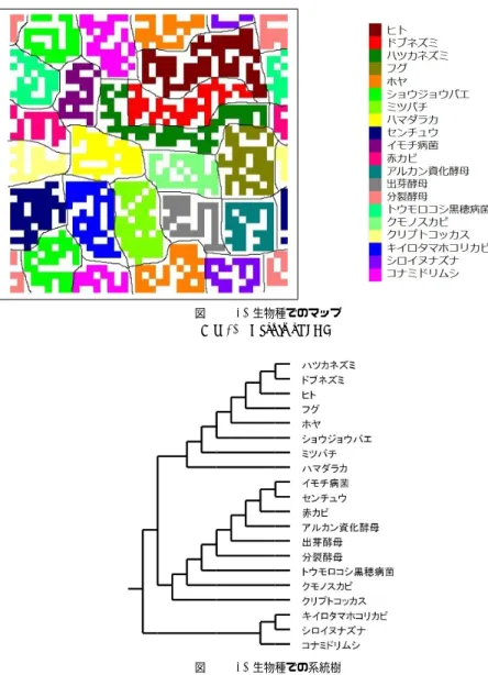 図 10 20 生物種でのマップ Fig. 10 Result of SOM