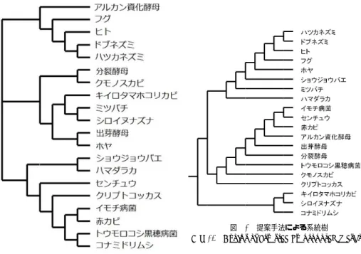 図 12 ClustalW による系統樹 Fig. 12 Evolutionary tree by ClustalW